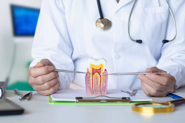 Best Walk-In Emergency Dentist in Woodinville, WA